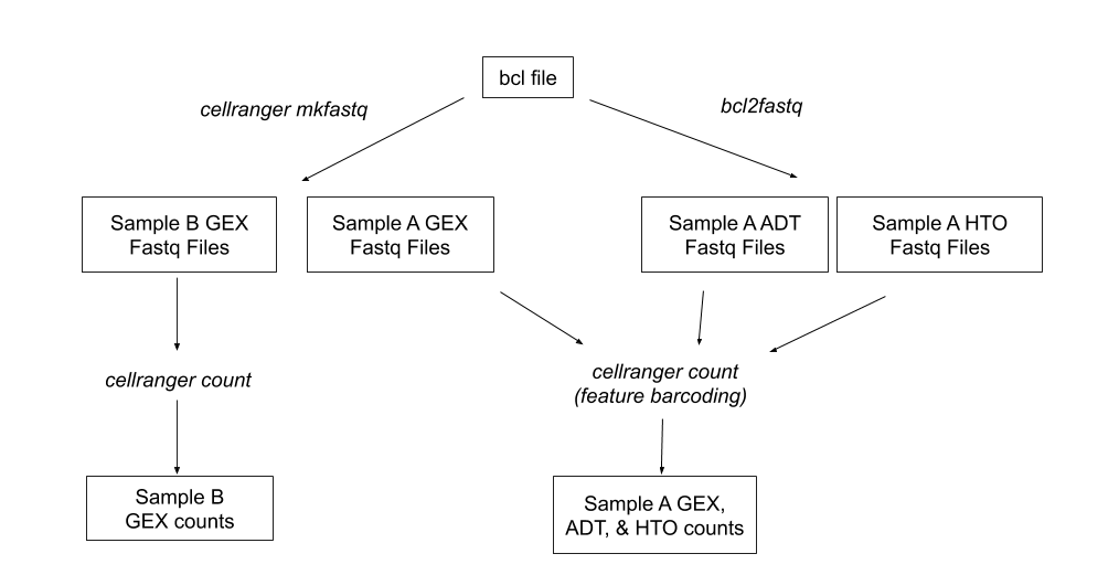 Diagram of the cellranger pipeline